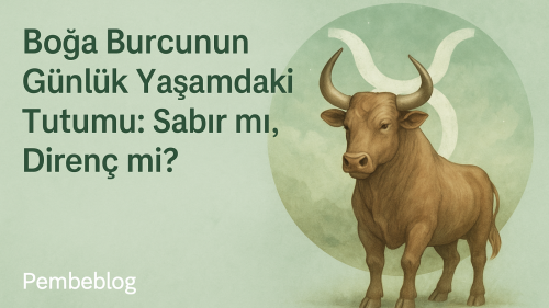 Boğa Burcunun Günlük Yaşamdaki Tutumu
