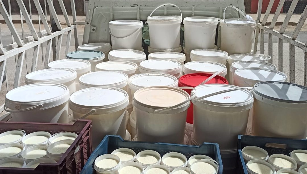Hatay’da ruhsatsız işletilen 4 süt ve süt ürünleri işletmesi mühürlendi – Son Dakika Türkiye Haberleri